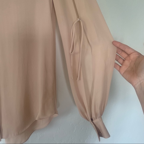 Haute Hippie Silk Georgette Blouse In Blush - Picture 4 of 11